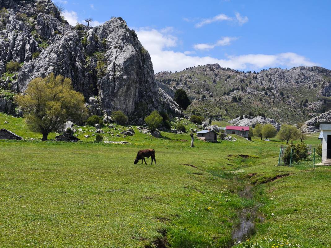 Konya’nın ünlü yaylasında baharın renkli yüzü çıktı 25
